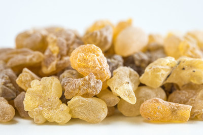 Boswellia serrata's medicinal properties make it an important ingredient in traditional Unani and Ayurvedic herbal remedies, and a key source of boswellic acids in western pharmaceutical biomedicine, where they have been investigated to help manage inflammation and for applications in products designed to support joint and muscle health, respiratory health and cardiovascular health.