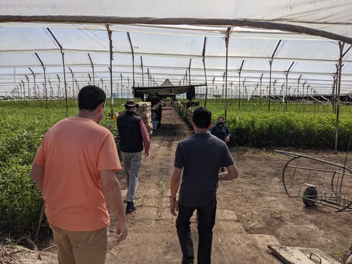 CannabCo management team on Halo 1 farm, over 1 million sq. ft. built. (CNW Group/CannabCo Pharmaceutical Corp. Colombia S.A.S)