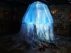 Plastic.Medusa - Une œuvre d'art créée à partir de déchets