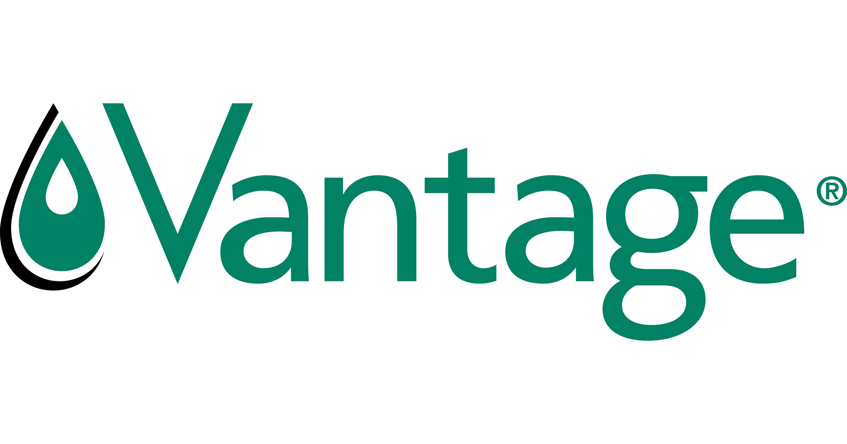 Vantage Food Debuts Cake Emulsifier