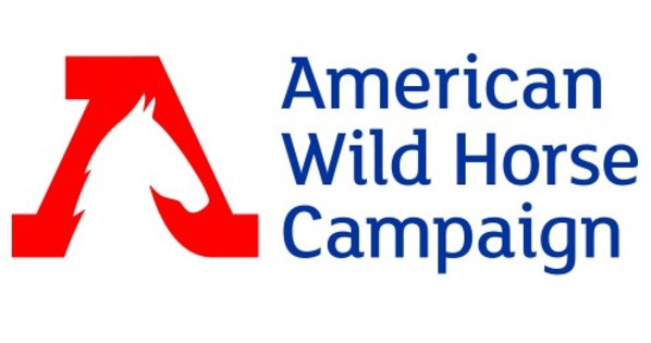 3 Out of 4 Americans Oppose Inhumane Helicopter Roundups of Wild Horses