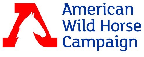 American Wild Horse Campaign American Wild Horse Campaign