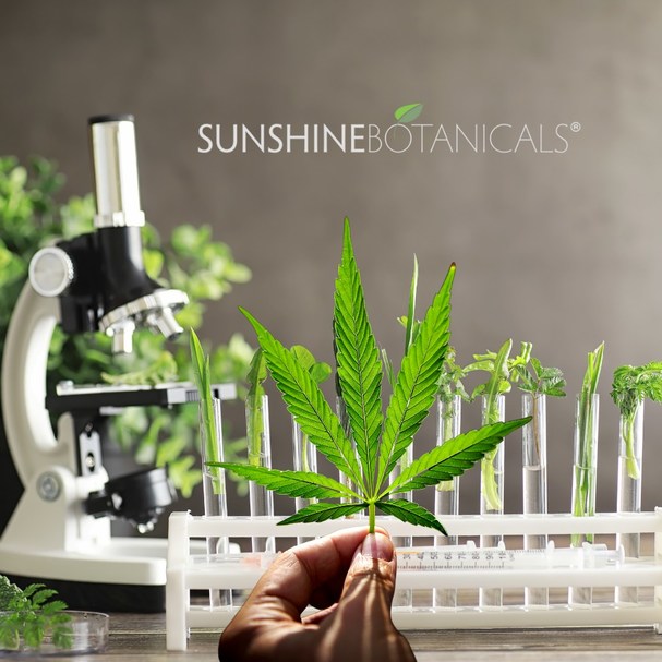 Sunshine Botanicals Launches Powerful, Multi-tasking Skin Butter for Oncology Aesthetics - Vimarsana News