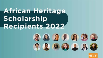 Fourteen students have been named as the inaugural cohort of the TE Connectivity African Heritage Scholarship Program.