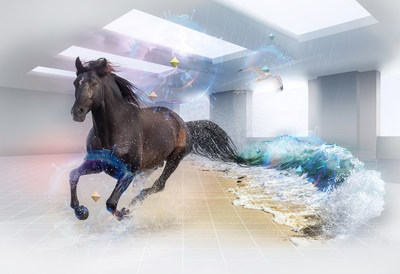 Horse Soundscape
