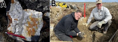 Figure 2: Annick Trend (A)Sample 167041, example of the Annick Style Samples: Grey quartz with veins of massive pyrite and arsenopyrite. This sample reported 49.5g/t Au. Note that grab samples are selective by nature and values reported may not be representative of mineralized zones (B) Geologist standing on large, metre-scale Annick Trend Boulders located approximately 200m south of the southern edge of the IPLS (CNW Group/Orford Mining Corporation) Figure 2: Annick Trend (A)Sample 167041, example of the Annick Style Samples: Grey quartz with veins of massive pyrite and arsenopyrite. This sample reported 49.5g/t Au. Note that grab samples are selective by nature and values reported may not be representative of mineralized zones (B) Geologist standing on large, metre-scale Annick Trend Boulders located approximately 200m south of the southern edge of the IPLS (CNW Group/Orford Mining Corporation)