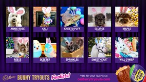 The Polls Are Open - Cadbury Needs YOUR Vote to Determine the Newest Cadbury Bunny