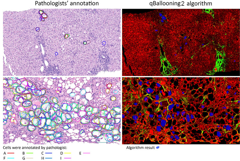 Unable to view the image, Please provide a valid URL.