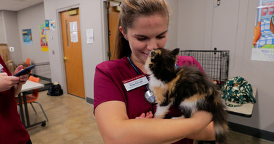 Paige Palomaki, a fourth-year veterinary student at the University of Minnesota was awarded the Steve Marton Scholarship in 2021/2022.