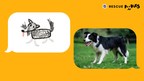 DOODLE, SNAP, ADOPT! THE PEDIGREE® BRAND LAUNCHES "RESCUE...