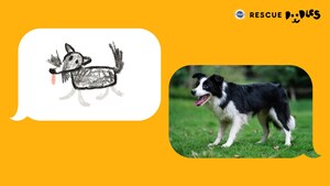 DOODLE, SNAP, ADOPT! THE PEDIGREE® BRAND LAUNCHES "RESCUE DOODLES" TO MATCH FAMILIES WITH THEIR DREAM RESCUE DOG