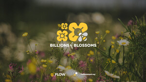 Creators of the Flow Hive Launch the "Billions of Blossoms" Project, Pledging to Plant More than One Million Trees in Partnership with Global Reforestation Efforts