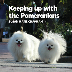 Susan Marie Chapman is Keeping Up With The Pomeranians