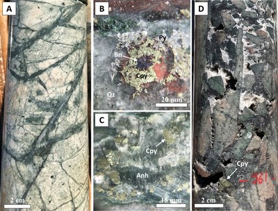 Figure 2 – Photographs of alteration and mineralization in RT-22-002; A) Strongly altered schist displaying quartz-pyrite veins with green sericite alteration halos, 465 m B) Hand lens view of quartz pyrite vein displaying blebby bornite rimmed by chalcopyrite C) Hand lens view of an anhydrite chalcopyrite vein D) Chalcopyrite bearing breccia in quartz-feldspar porphyry intrusion, 561 m. (CNW Group/Zacapa Resources)
