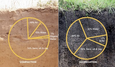 dirt vs soil