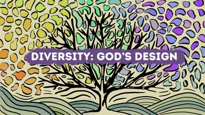 'Diversity: God's Design' is a four-week multimedia Bible study that provides a basic introduction to the celebration and acknowledgment of difference for young adults and others. Artwork by Lynn Hur.