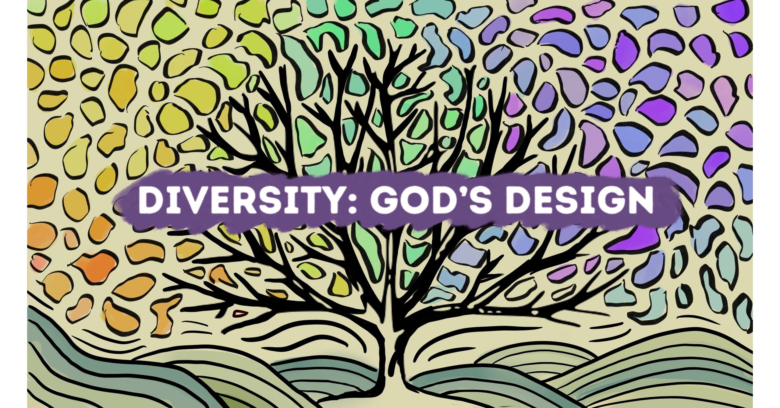 New Bible curriculum celebrates diversity; engages young adults
