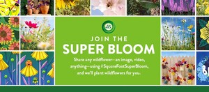 Air Wick® Launches Square Foot Super Bloom Kicking Off Second Year of National Reseeding Program to Conserve Nature from the Ground Up