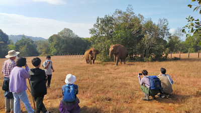 Elephant Valley Project (EVP) in Mondulkiri, Cambodia is a 4000-acre elephant sanctuary and eco-tourism program. World Animal Protection has been providing funding to the sanctuary. Pictured: Guests in December 2021. Credit Line: Elephant Valley Project/World Animal Protection (CNW Group/World Animal Protection)