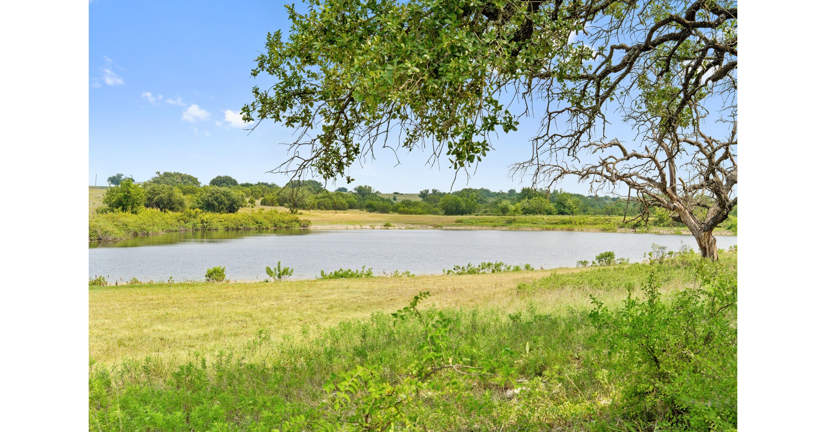 A rare Texas ranch comes to market, with rolling grasslands and big ...