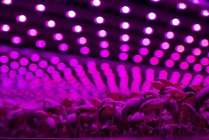 Future Crops Announces New Investment Round, Led by Tencent