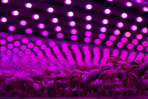 Future Crops annonce un nouveau cycle d'investissement, dirigé par Tencent (PRNewsfoto/Future Crops)