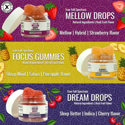 BioWellnessX Has Become a Trusted Brand for Full Spectrum CBD Gummies - Vimarsana News