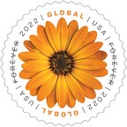 Postal Service Issues African Daisy Global Forever Stamp
