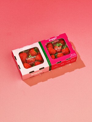 BOWERY FARMING UNLOCKS A WHOLE NEW WORLD OF FLAVOR IN STRAWBERRIES, LAUNCHING A LIMITED-RELEASE DISCOVERY PACK