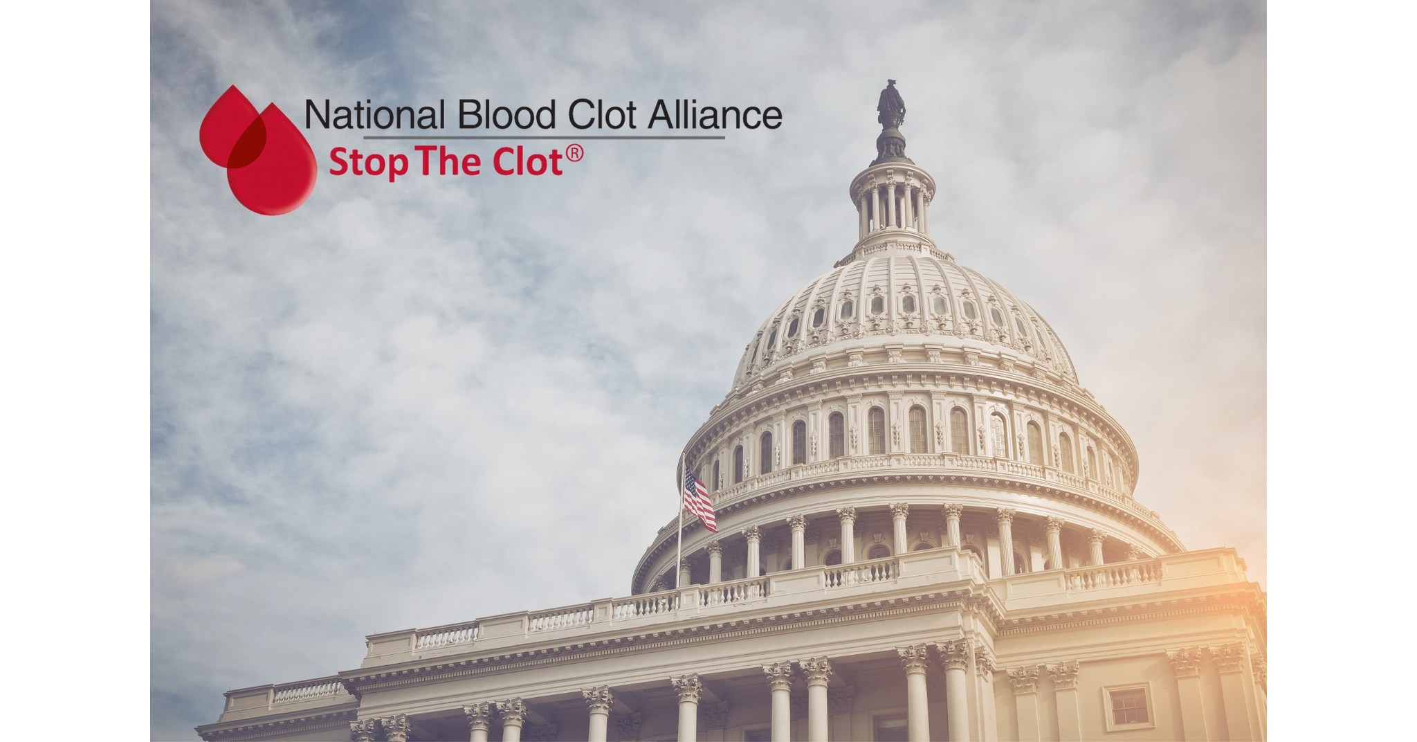 National Blood Clot Alliance on Instagram: On Tuesday, blood clot  awareness took a step forward as the Senate unanimously passed a resolution  recognizing March as Deep Vein Thrombosis (DVT) and Pulmonary Embolism (