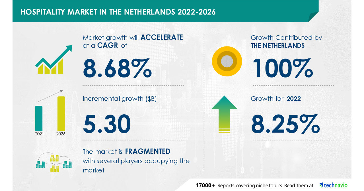 Netherlands Make up Market, Size, Share, Growth, Trends, Industry  Analysis