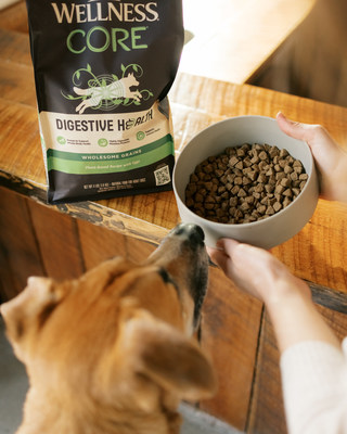 Wellness Pet Company Introduces First Plant-Based Recipes for Dogs that Promote a Shared Life of Wellbeing Together