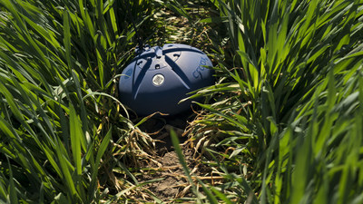 Unable to view the image, Please provide a valid URL.