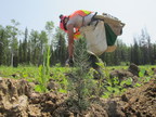 IKEA Canada partners with Project Forest to rewild landscapes in Alberta