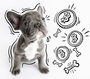 New Utility NFT Project Uses Power of Blockchain to Solve Problem With Pets, Shaking Up Billion Dollar Breeding / Retail Industries