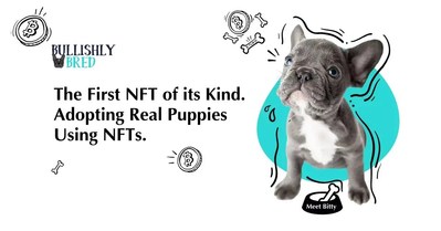 Bringing breeding to the blockchain. French bulldogs with NFTS - providing proof of ownership, DNA data and registry.