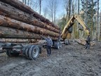 New Poll Shows Strong Indigenous Support for Forestry