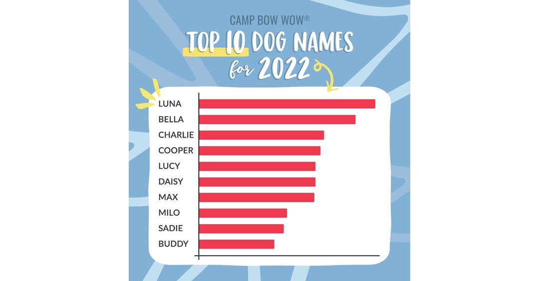 Bow Wow Pet Names: Perfect Dog Name or Cat Name for your new Pet