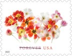 New Postal Service Tulips Forever Stamp Brightens Any Occasion