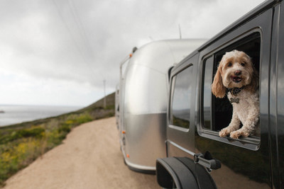 More than 78% of Americans opt to travel with their pets each year, while a 2021 Milliman report estimates only 2% of pets are currently insured.