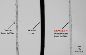 Demolish Foods Debuts Breakthrough Plant Protein Muscle Fibers at Future Food Tech Summit - San Francisco
