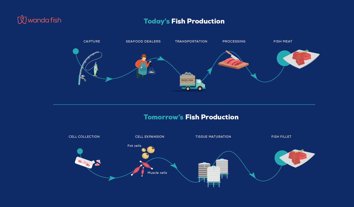 Wanda Fish Technologies Enters Collaboration with Tufts University - Vimarsana News