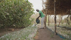 TREES Senegal farmer watering 20220318134720499