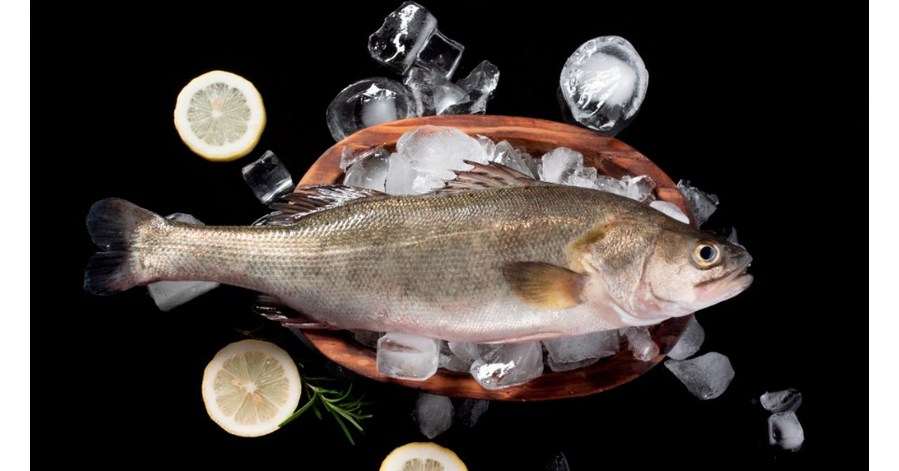 CIMC Raffles delivers four intelligent cages, marking a milestone in marine fishery business