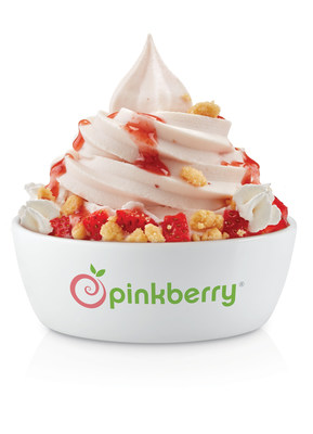 Strawberry Shortcake Frozen Yogurt Topped