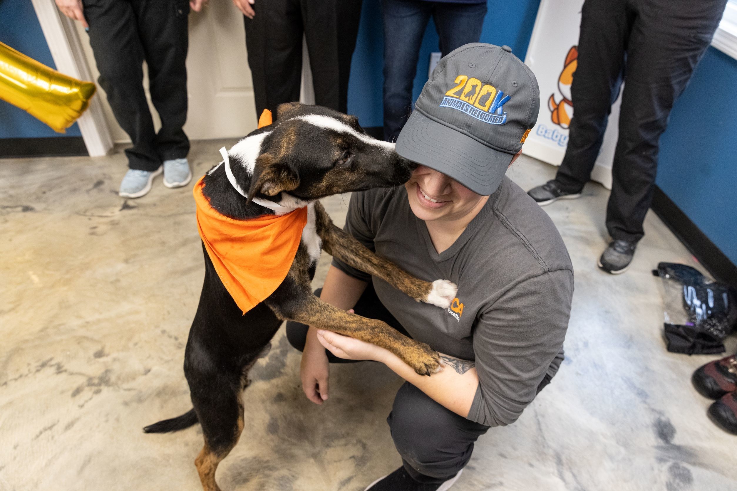 Unable to view the image, Please provide a valid URL.