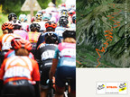 Strava Announces Official Multi-Year Partnership with Tour de France and Tour de France Femmes avec Zwift