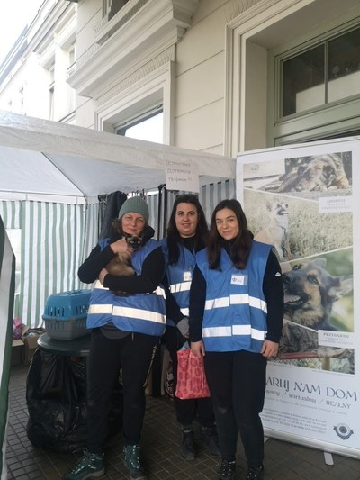 Helen Woodward Animal Center's Ukraine Animal Crisis Fund is providing financial assistance to animal welfare workers who administer medication and supply food, bedding and more to the pets of Ukrainian refugees and Ukrainian shelter pets.  Here, volunteers from Polish Society for The Protection of Animals assist the pet cat of a Ukrainian refugee at the border site.
