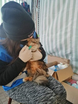Helen Woodward Animal Center's Ukraine Animal Crisis Fund is providing financial assistance to animal welfare workers who administer medication and supply food, bedding and more to the pets of Ukrainian refugees.  Here, a volunteer from Polish Society for The Protection of Animals cares for a Ukrainian pet cat at the border site.