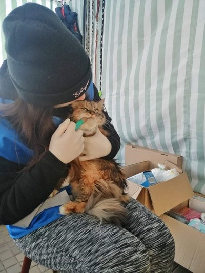 Helen Woodward Animal Center's Ukraine Animal Crisis Fund is providing financial assistance to animal welfare workers who administer medication and supply food, bedding and more to the pets of Ukrainian refugees.  Here, a volunteer from Polish Society for The Protection of Animals cares for a Ukrainian pet cat at the border site.